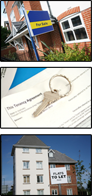 flat houses rooms apartments accomodation management letting agent software