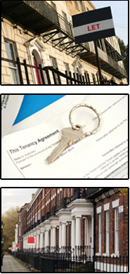 flat houses rooms apartments accomodation management software