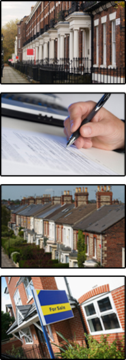 flat houses rooms apartments accomodation management software
